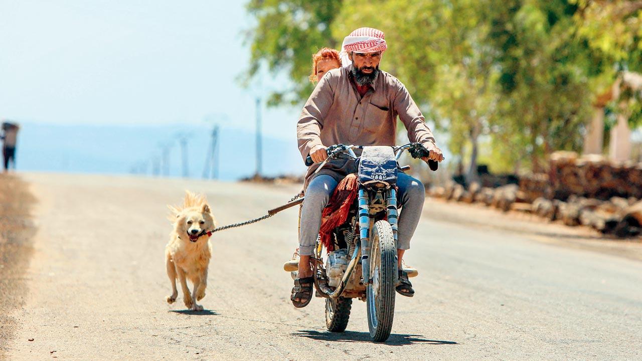 Bedouin residents leave with their dog running alongside