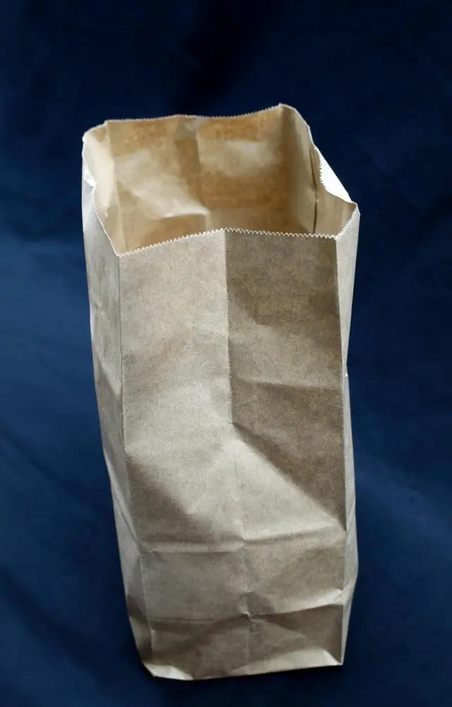 Paper Bag Day: 5 lesser-known facts about the every-day item