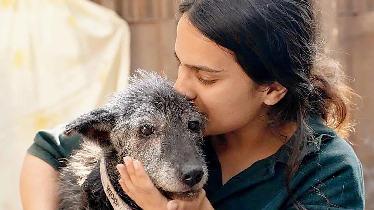 A volunteer with a rescued pup at an event. Pic Courtesy/YODA
Thursday
Perfect paw-mate
Your search for the perfect companion ends here! At Yappy Hour at Doolally, a special adoption event organised by the Youth Organisation in Defence of Animals (YODA), one can adopt adorable rescue dogs and cats or spend time cuddling and giving them belly rubs! 
TIME 4 pm to 7 pm AT Doolally Taproom, Multilink House, next to Khar station, Ram Krishna Nagar, Khar WestCALL 9891326963