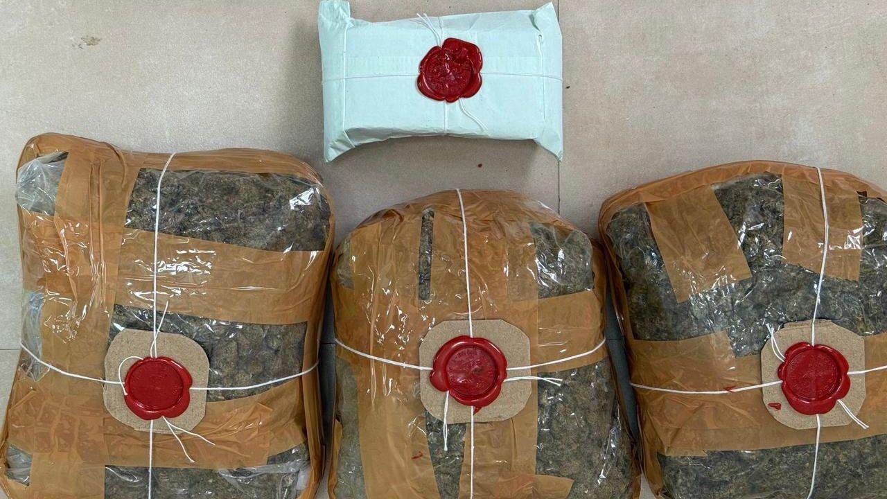 Crime Branch busts Rs 4 crore hydroponic weed racket in Andheri