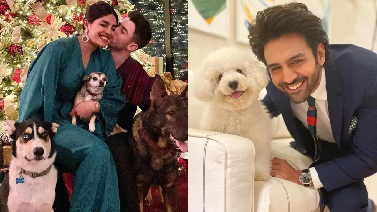 Friendship Day 2025: Adorable glimpses of celebs cuddling their furry friends