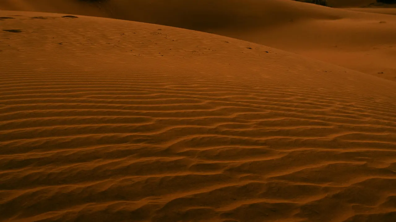 Researchers discover traces of Harappan settlement in Rajasthan's Thar Desert