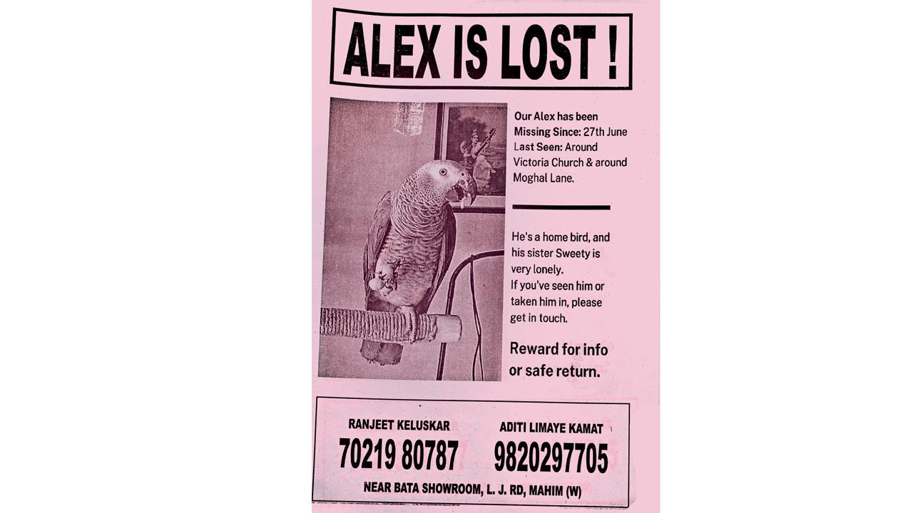 The flier saying Alex is missing
