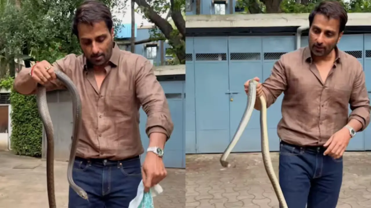 Sonu Sood's fearless act of catching a snake leaves fans amused; watch