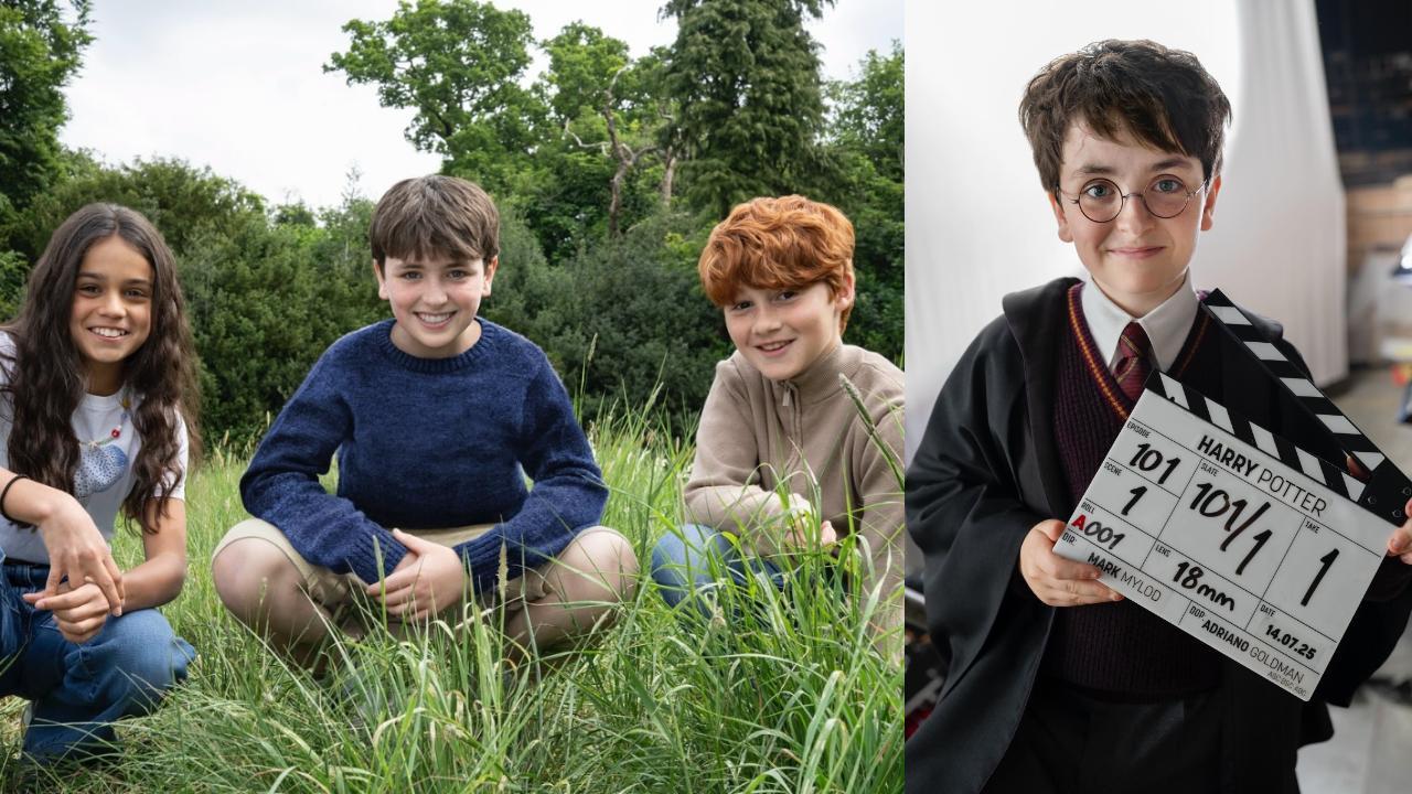 Harry Potter series: Who plays Ron Weasley, Hermione Granger, Severus Snape?