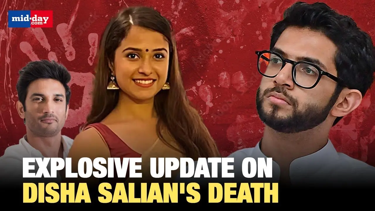 Bombay HC Clears Aaditya Thackeray in Disha Salian Case; Rohit Pawar Slams BJP