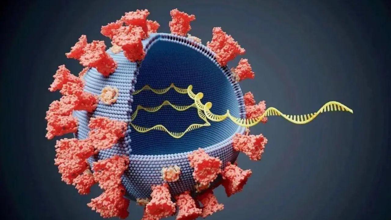 COVID-19 cases continue downward trend in Maharashtra; only 8 new infections reported
