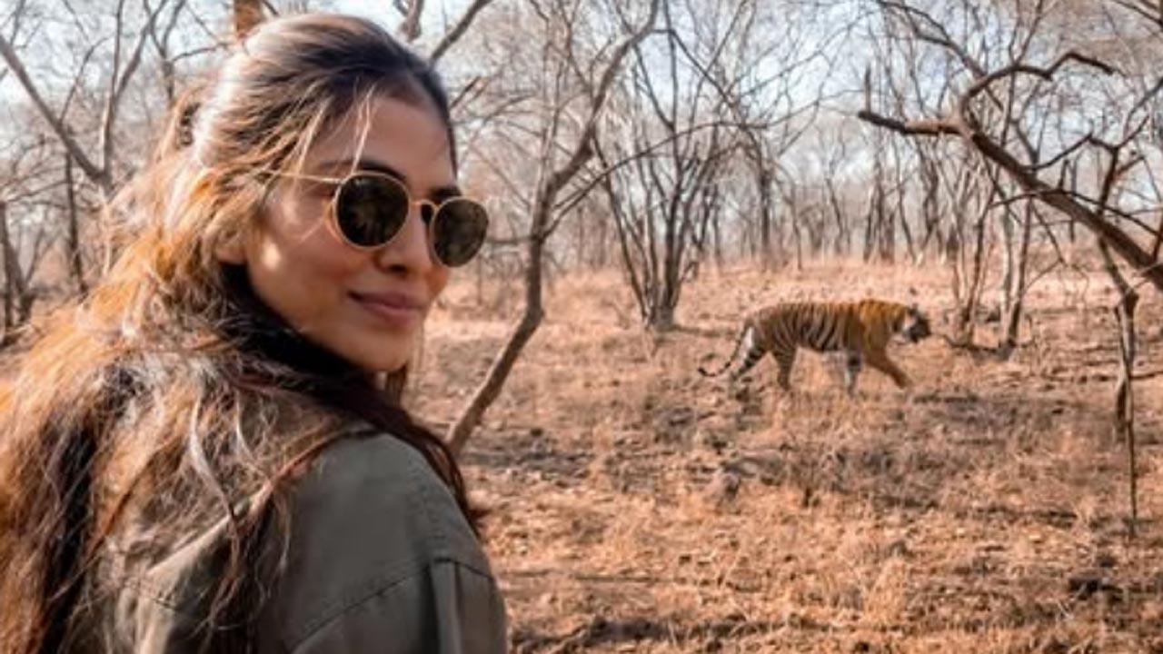 Malavika Mohanan shares her favourite tiger meme and some of her best clicks of the beast