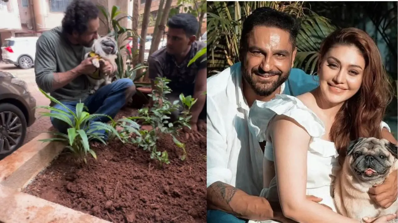 Parag Tyagi slams netizens judging him for posting wife Shefali Jariwala's pics