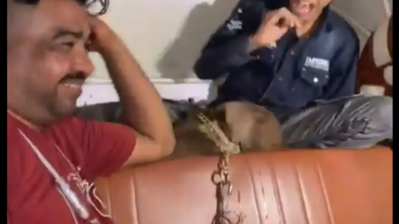 Pit bull set on boy in Mumbai's Mankhurd, owner held as video goes viral