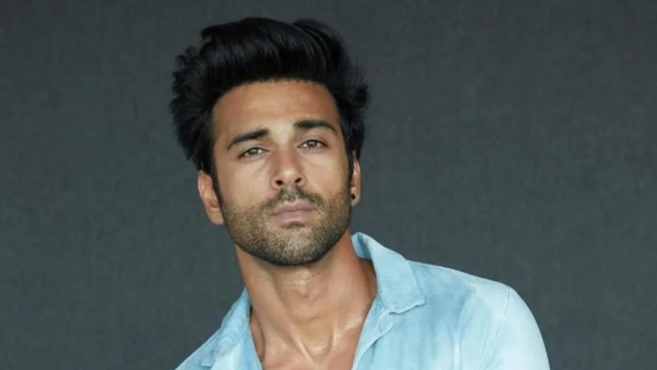 Pulkit Samrat needs no introduction; the actor has been ruling screens with his performances in various films. Very less viewers have been aware that he was also a major part of Kyunki's first season