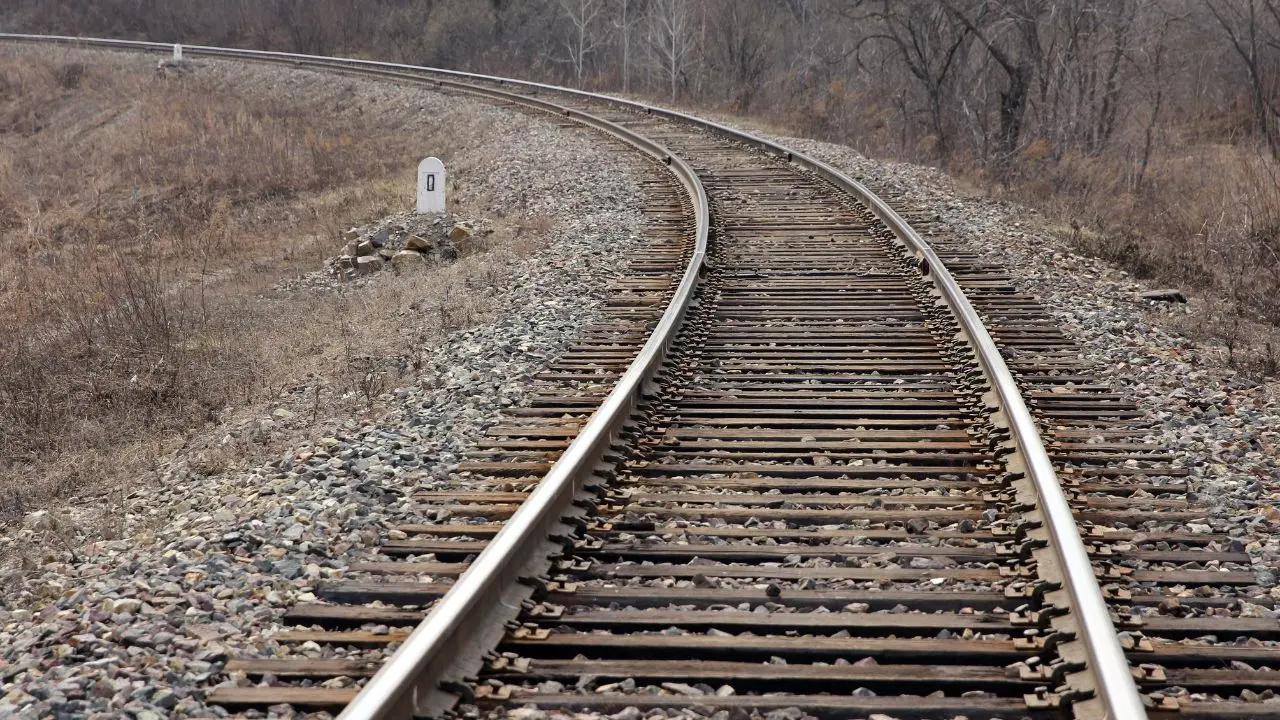 West Bengal: Three elephants run over by train in Jhargram