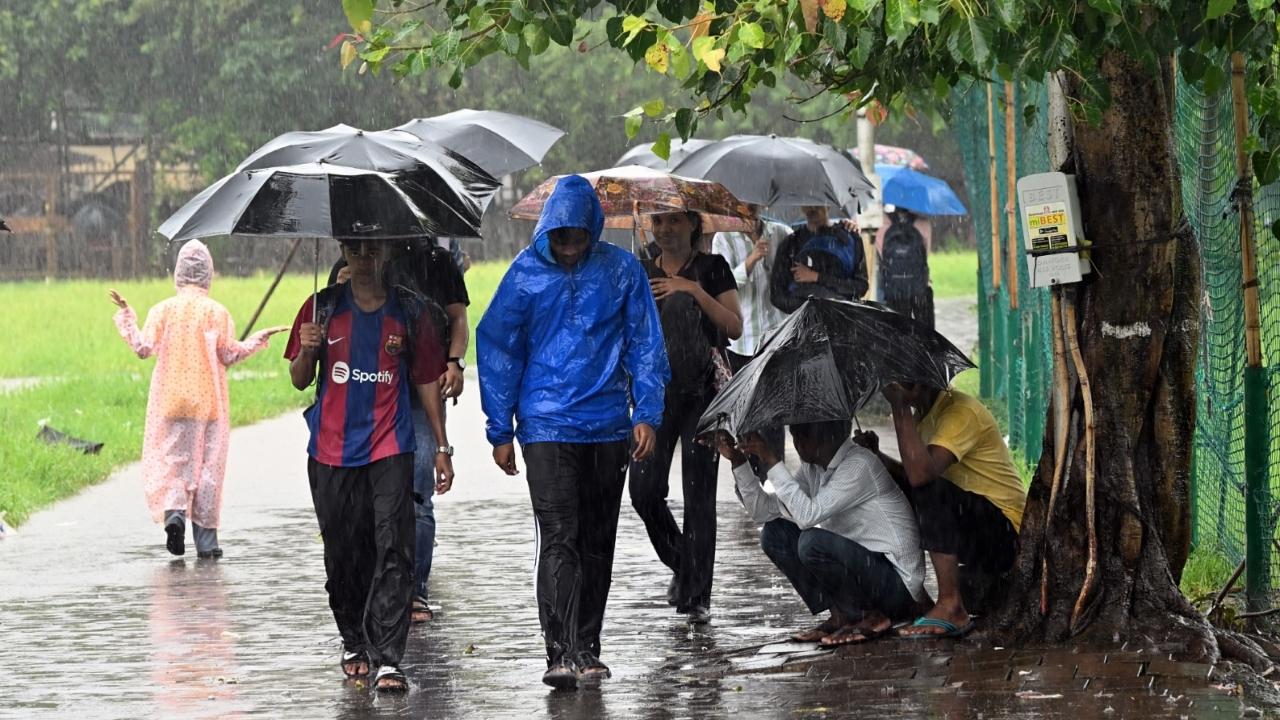 Amid the downpour, traffic snarls were witnessed at key locations, including on the Eastern Express Highway and the Western Express Highway