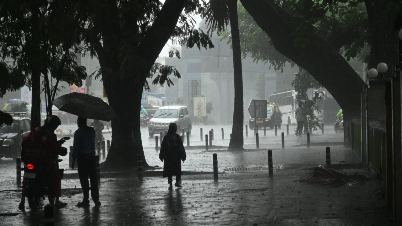 Gujarat rains: Heavy rains lash parts of Gujarat; emergency services on alert