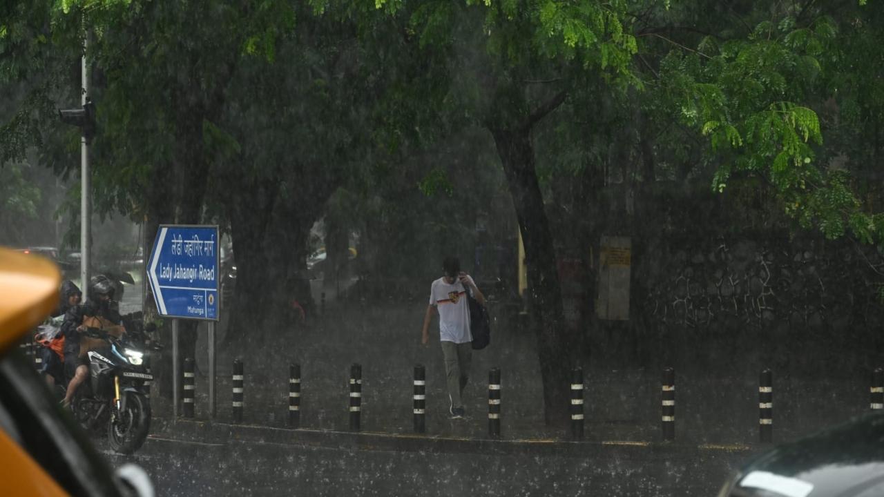 In the 24-hour period ending at 8 am on Monday, the island city recorded an average rainfall of 23.45 mm, the eastern suburbs received 36.42 mm and the western suburbs got 50.02 mm rainfall, civic officials said