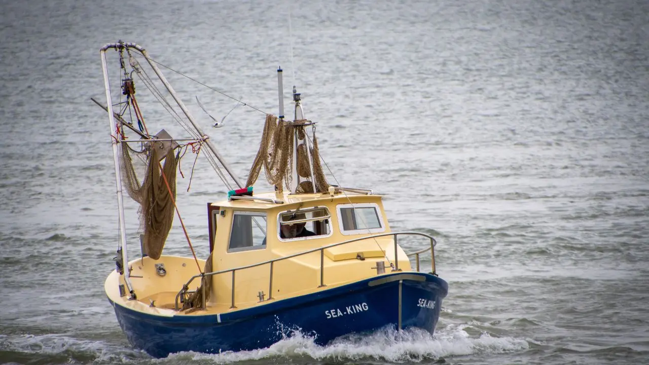Over 1,000 boats operating without registration in Maharashtra's coastal Raigad