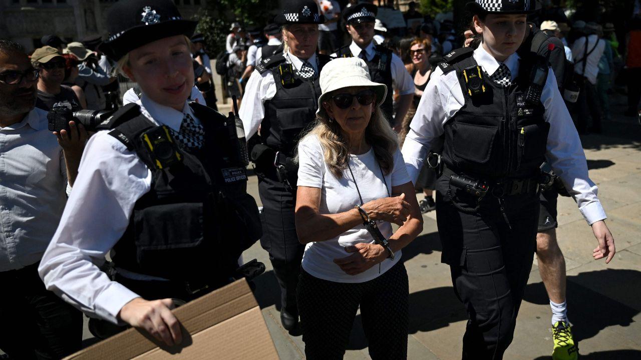 In London, it was the second straight week that protesters gathered to support the pro-Palestinian activist group. Its outlawing has meant support for the organisation is deemed a criminal offense. Police arrested 29 people at a similar protest last weekend