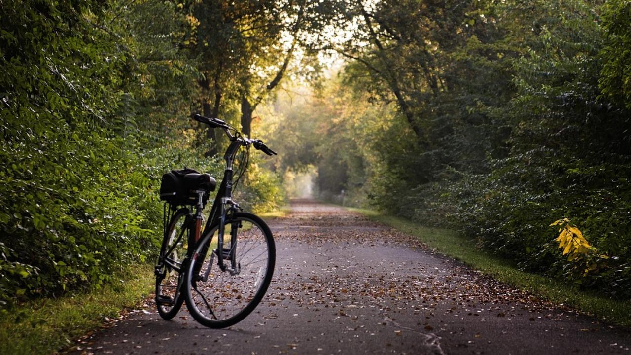 Borivali
Sanjay Gandhi National Park (SGNP) in Borivali is an ideal destination for cycling. Apart from just enjoying the ride, once can also explore the natural richness of the area on two wheels.
