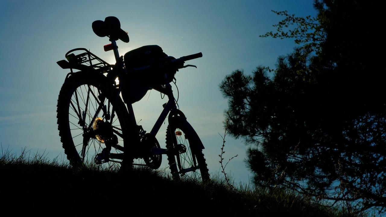 Manori
For early risers, Barai recommends cycling in Manori. “For a morning breakfast ride, we go to Manori; you have to take a ferry from Gorai and there is a route from Manori to Pagoda. It is a shaded route on both sides of the road,” he says.