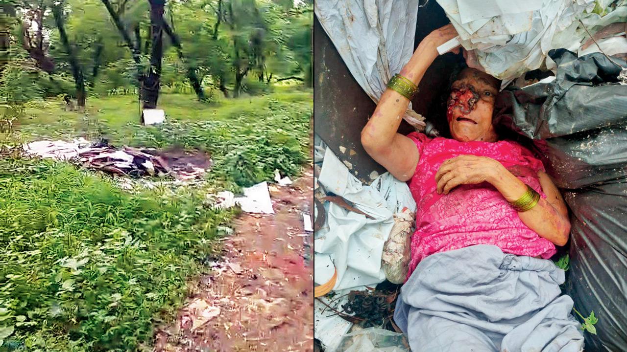 Mumbai: Elderly woman found abandoned in Aarey, family traced