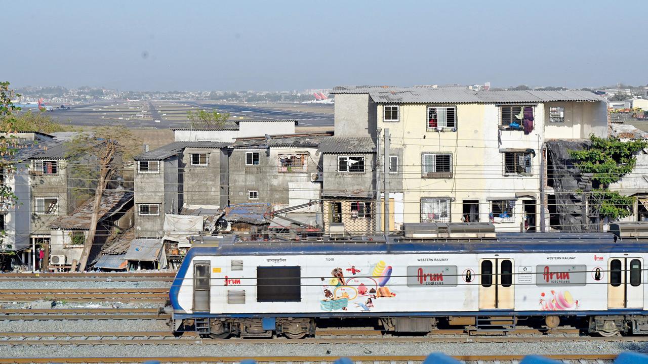 Waste hub near airport set for overhaul amid bird hazard