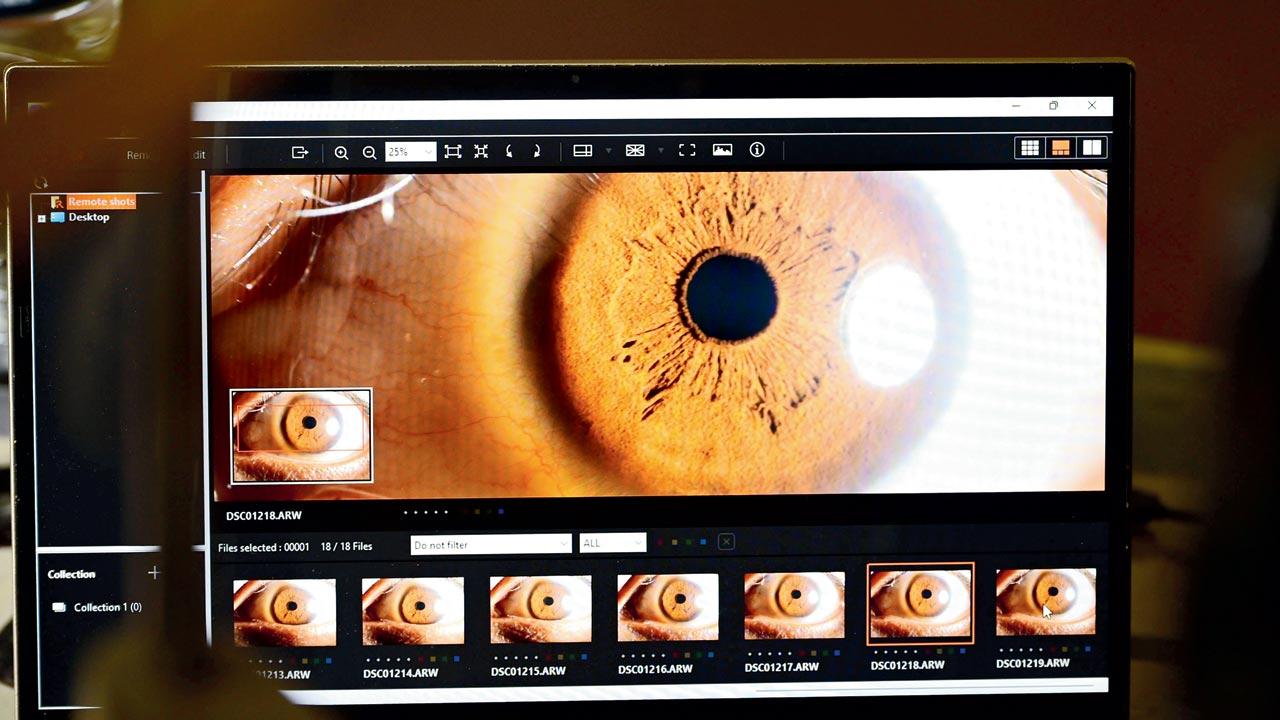 The scan appears on the digital workstation 
