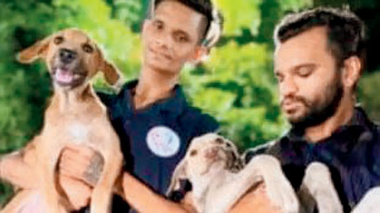 Over 100 animals, birds died as a result of the plane crash, claims NGO