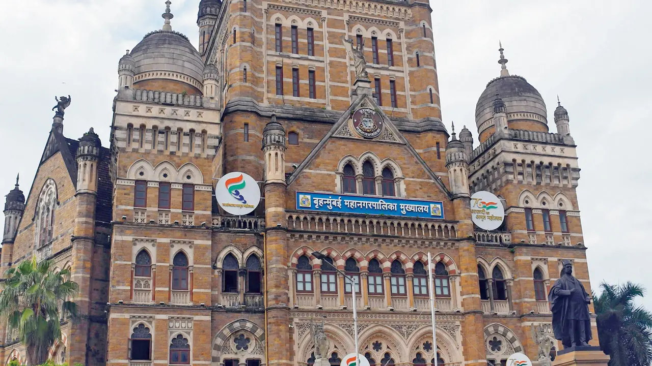 Mumbai: Civic body to deploy SHG women for door-to-door collections