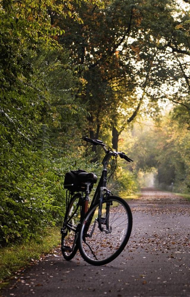 World Bicycle Day: 5 interesting facts you need to know