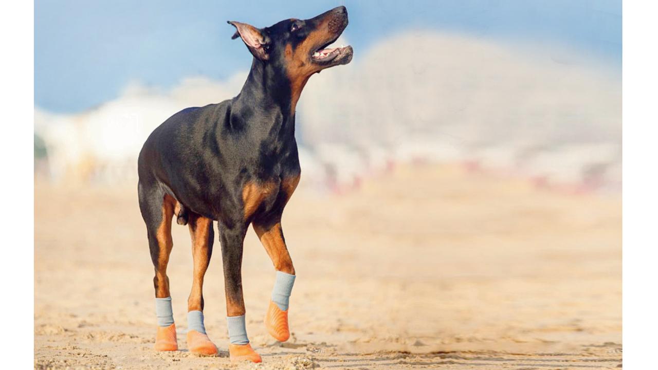 Booties for your sole-mate