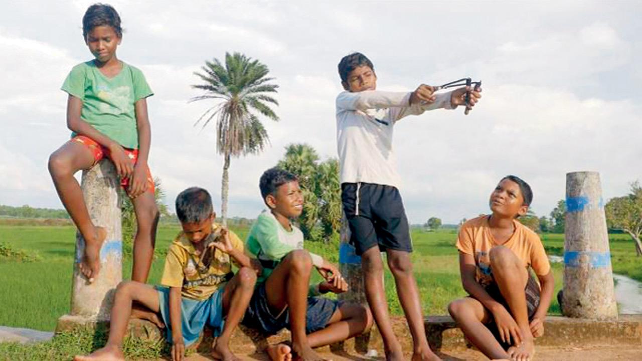 The young protagonists of Catapults to Camera. PIC COURTESY/ROUNDGLASS SUSTAIN