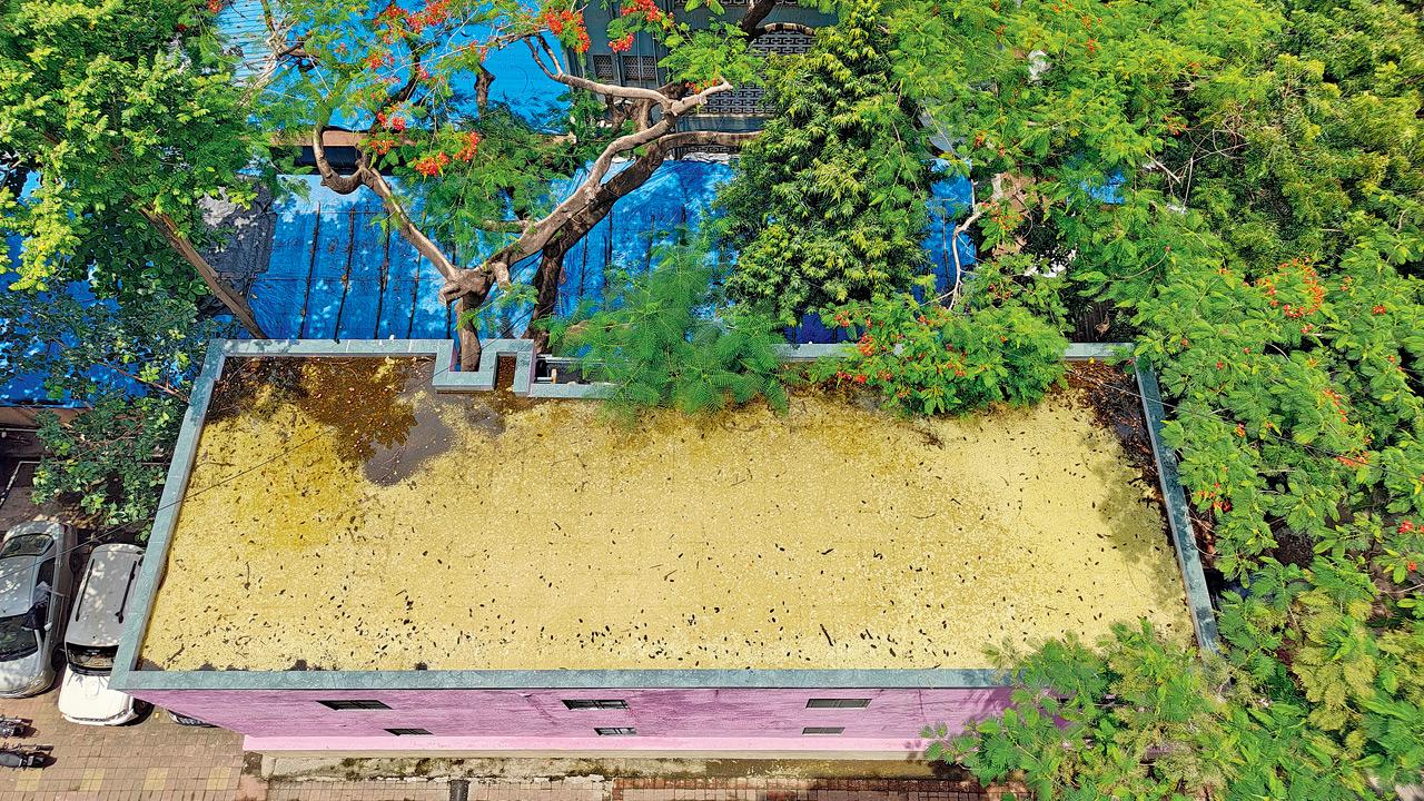 Accumulation of water on the terrace of the structure has raised concerns of mosquito breeding 