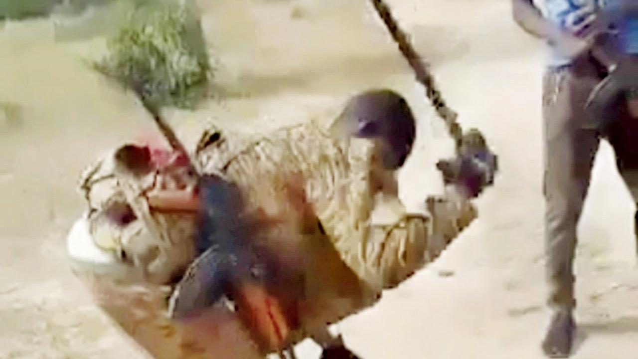 Russia-linked Wagner Group fuelling crimes in West Africa
