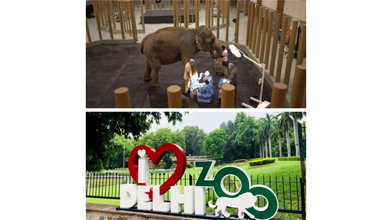 A New Chapter in Animal Conservation: Vantara Champions a People-Centric, Compassion-Driven Partnership with the Delhi Zoo