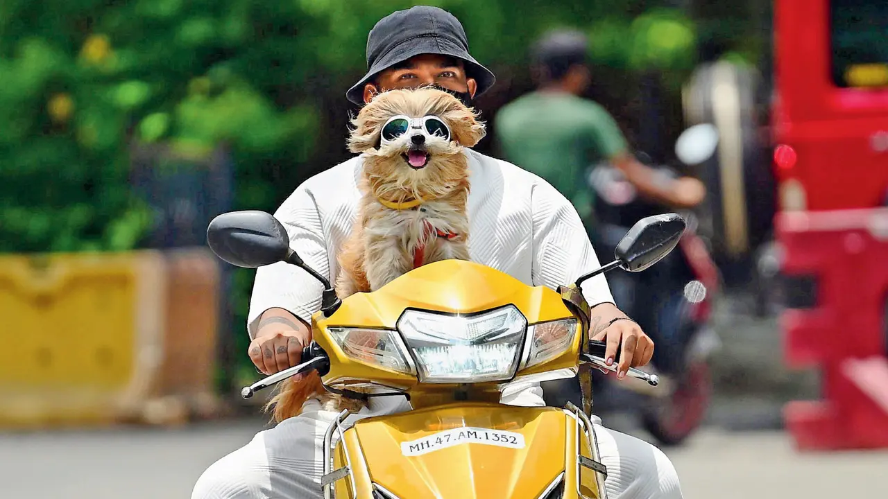 Mumbai Diary: Thursday Dossier