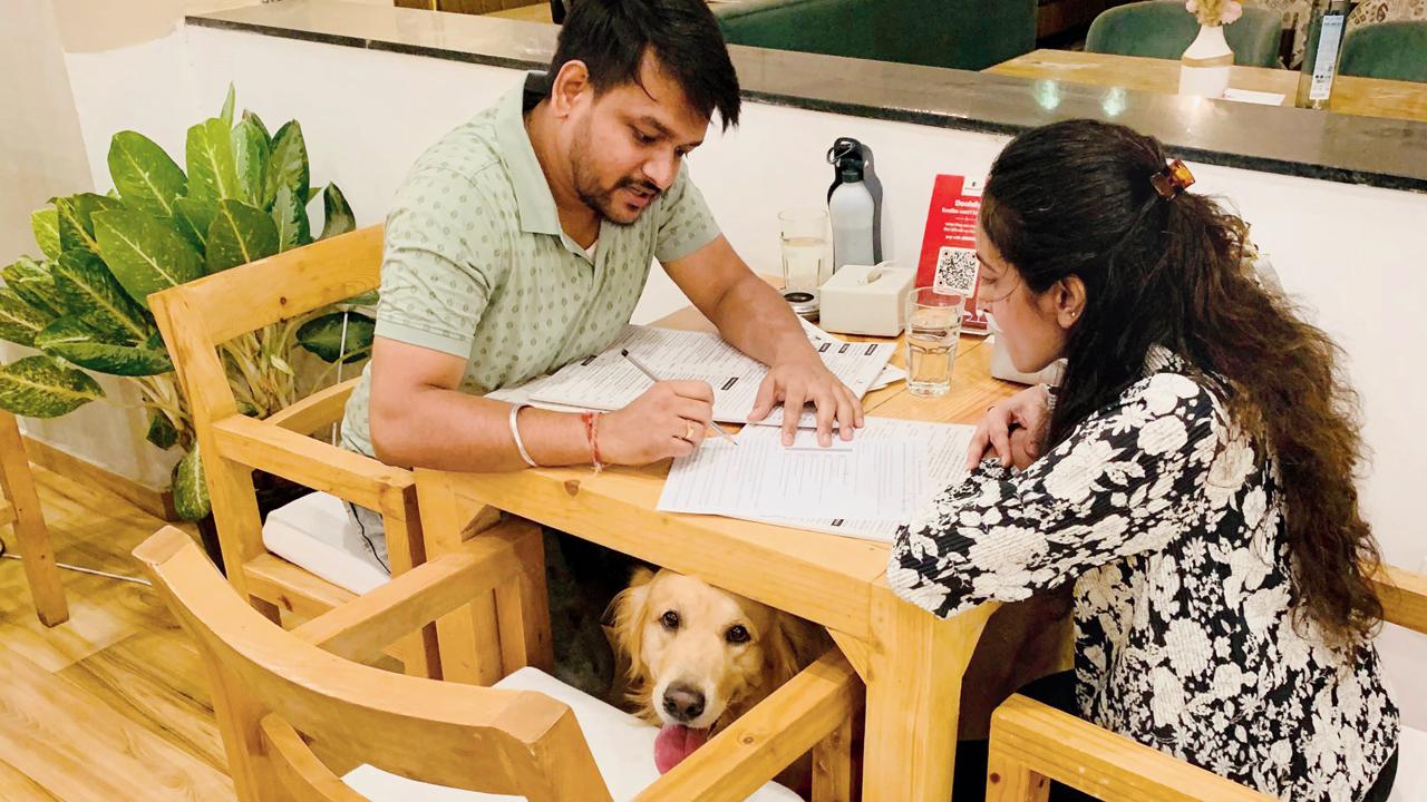 Players enjoy a night of quizzing alongside their pet dog. Pics Courtesy/Doolally