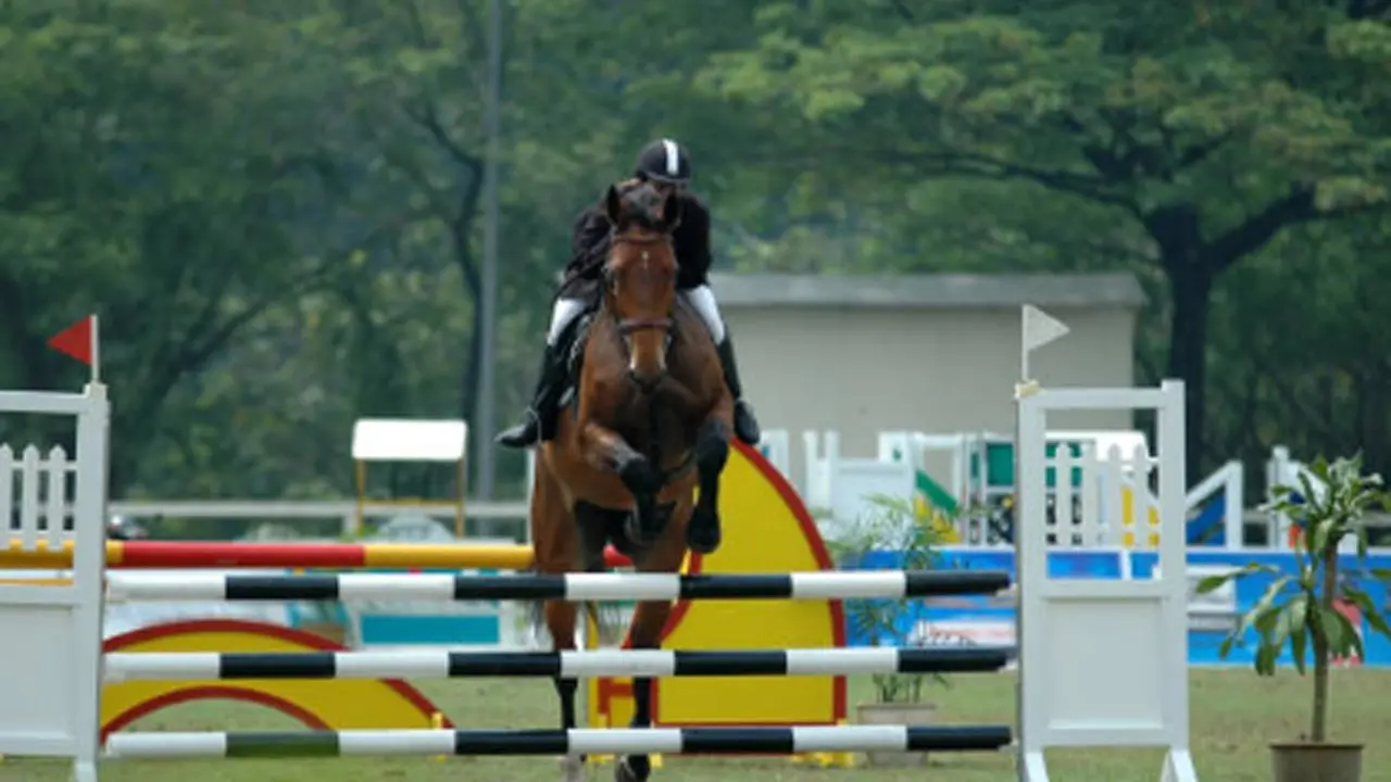 FEI cancels equestrian events in India due to non-payment of dues