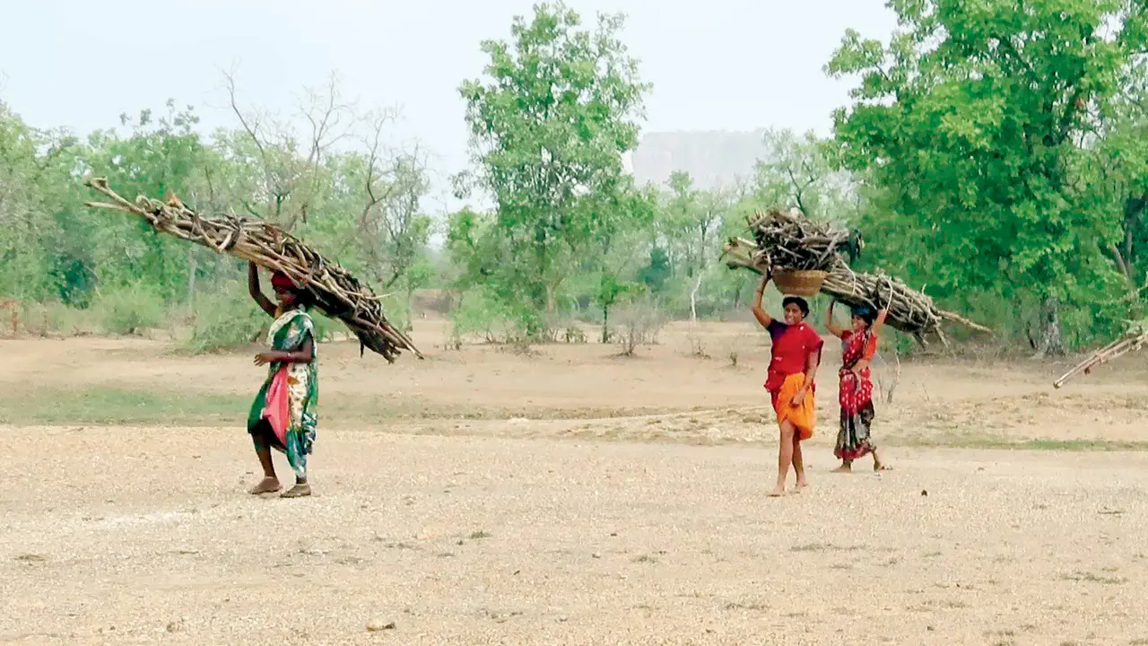 A new Hindi podcast series highlights lesser-known eco-warriors across India
