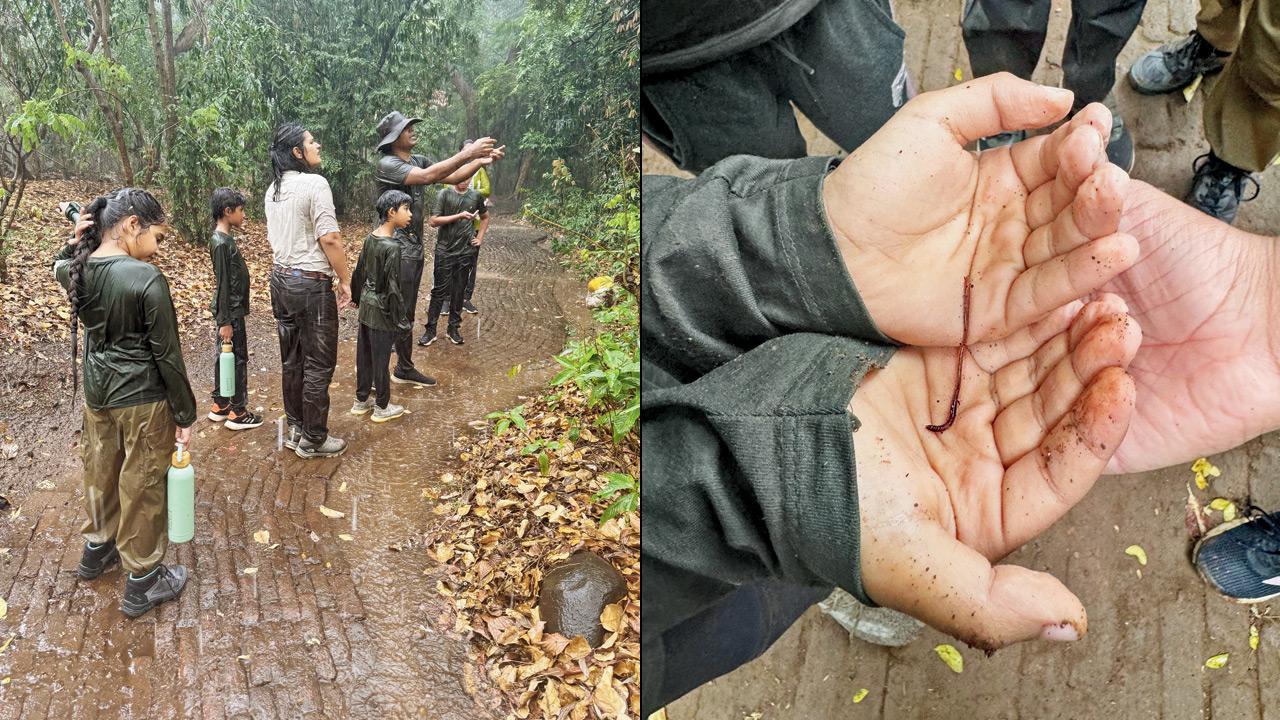 Children at a nature camp (right) an earthworm. PICS COURTESY/ROOTS NATURE CLUB 