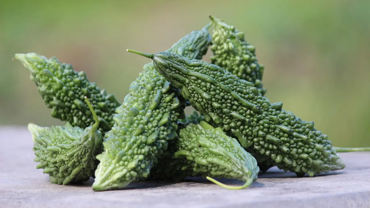 Dislike karela? Mumbai health experts highlight why you need to eat it