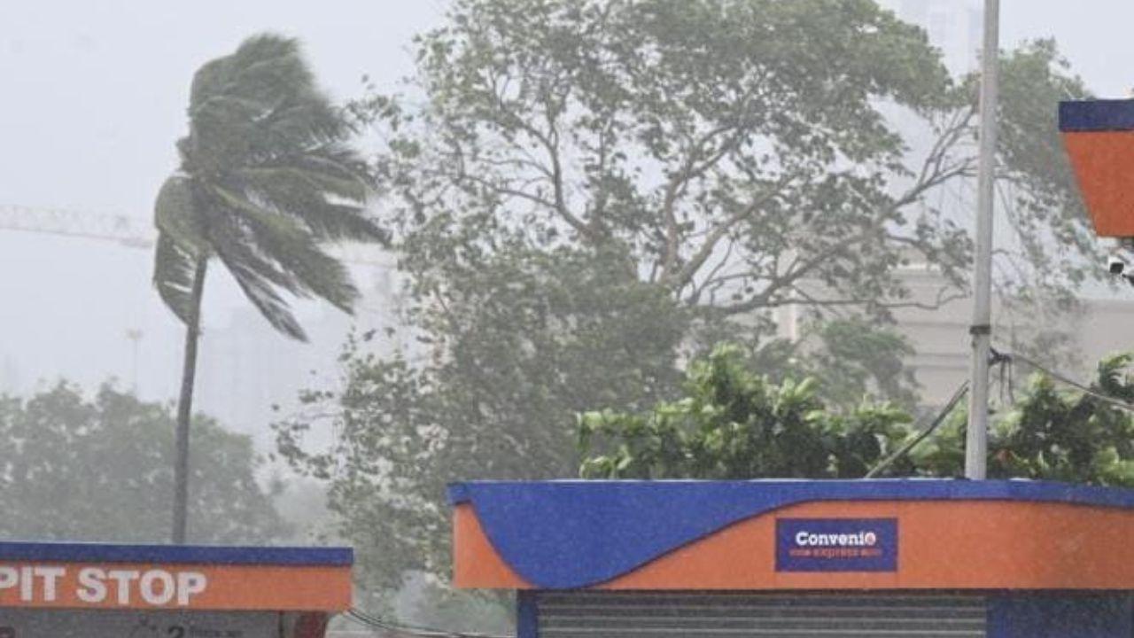 Jharkhand braces for heavy rains: IMD issues orange alert for the state
