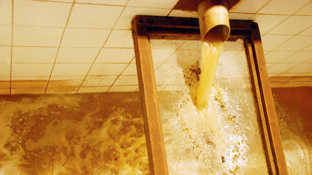 The juices of the crushed apples being collected