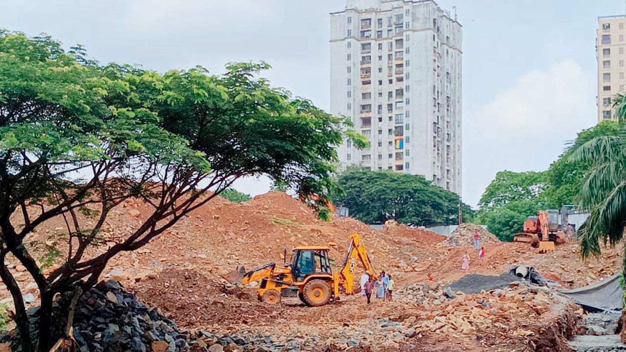 Tribals allege that several trees were buried under the land that was cleared in Goregaon. Pic/By Special Arrangement