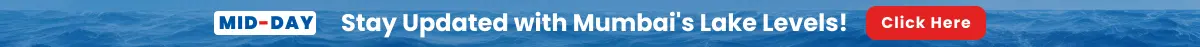 Mumbai Lake Level