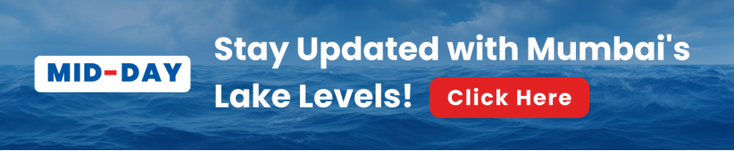 Mumbai Lake Level