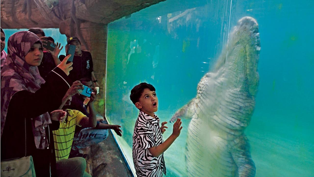 Mumbai Diary: Monday Dossier