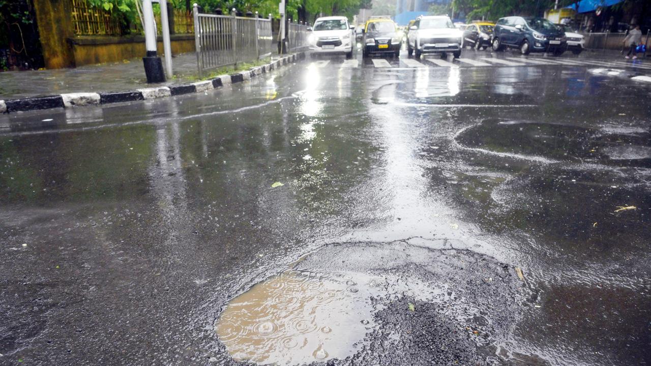 ... on the road, between Mumbai University and the sessions court in Fort. Pic/Ashish Raje 