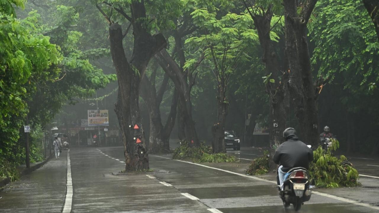 The IMD's Santacruz observatory recorded a maximum temperature of 33.5 degrees Celsius and a minimum of 26.4 degrees Celsius on Sunday
