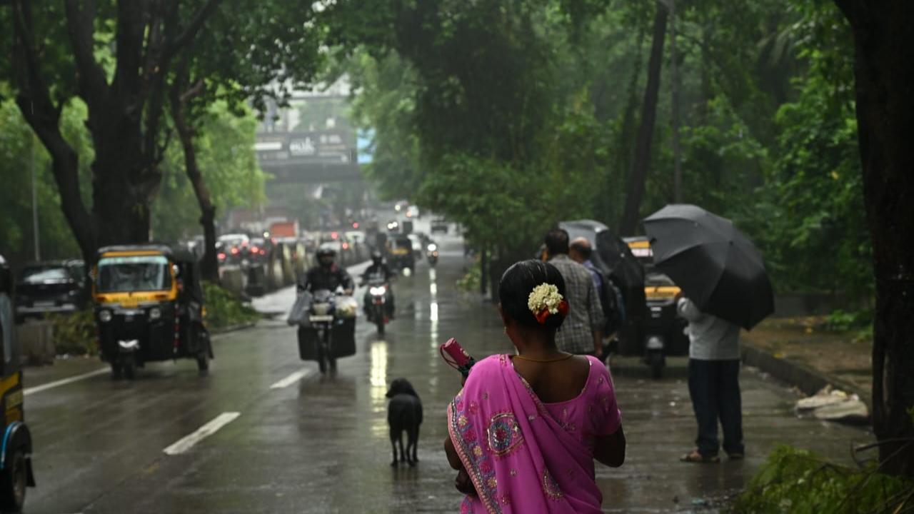 Meanwhile, the Colaba observatory reported a high of 32 degrees Celsius and a low of 24.4 degrees Celsius, as per the latest Mumbai weather updates