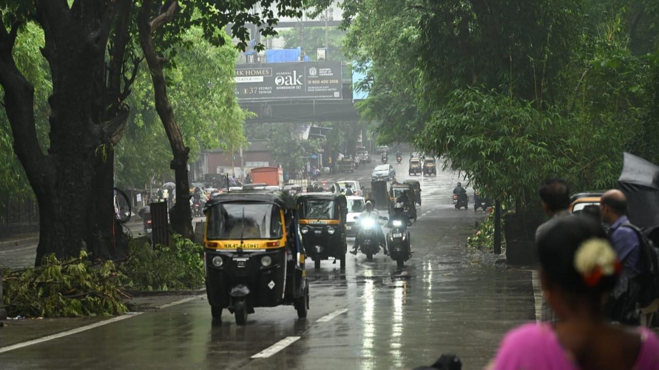 A high tide of 4.27 metres is expected at 2.52 pm on Sunday and a low tide of 1.91 metres at 8.55 pm